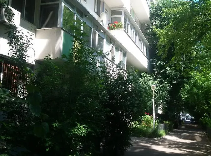 Simona * 布加勒斯特